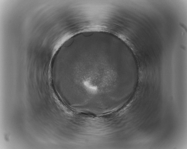 X0000100881469200807071114