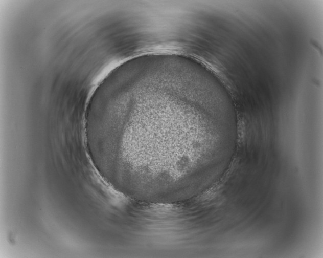 X0000100881470200807071114