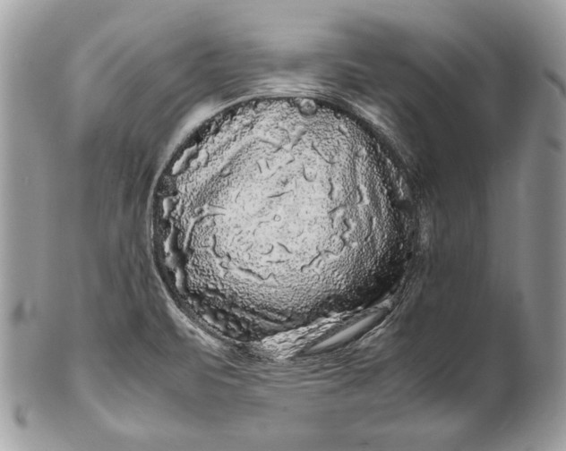 X0000100881471200807071114