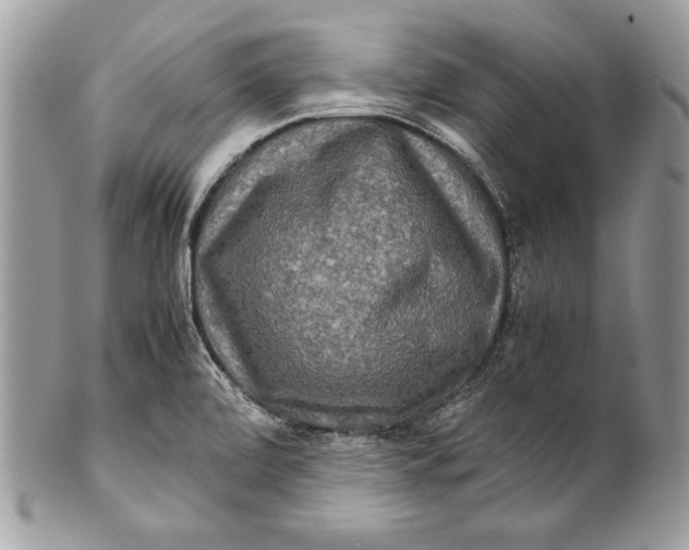 X0000100881472200807071114