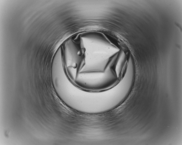 X0000100881473200807071114