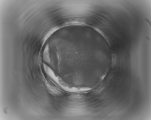 X0000100881474200807071114