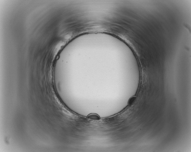 X0000100881477200807071114