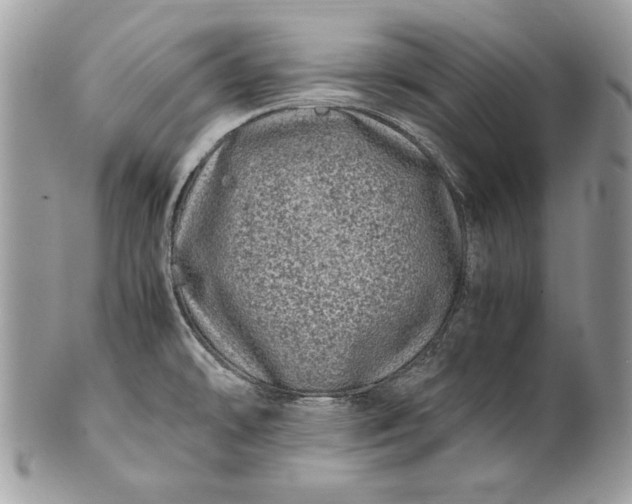 X0000100881478200807071114