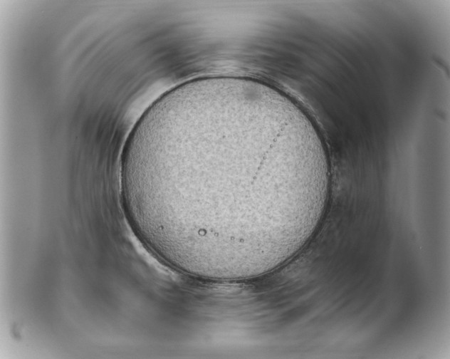 X0000100881479200807071114