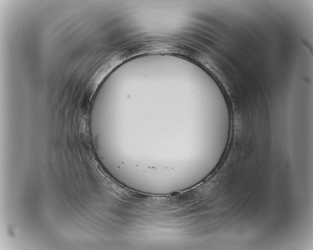 X0000100881481200807071114