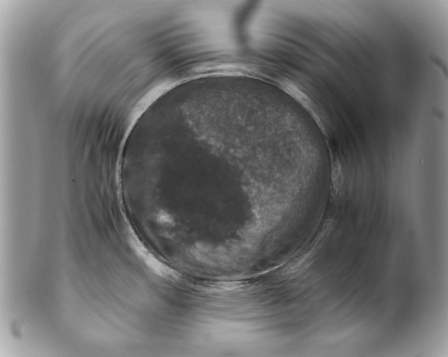 X0000100881482200807071114