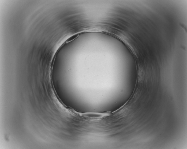 X0000100881484200807071114