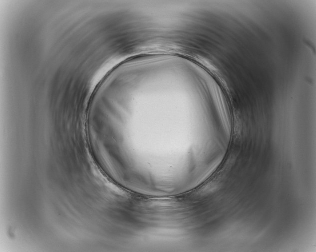 X0000100881486200807071114