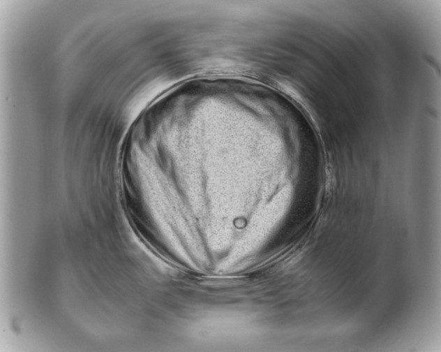 X0000100881487200807071114