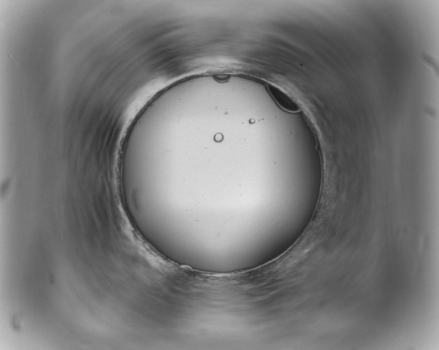 X0000100881488200807071114