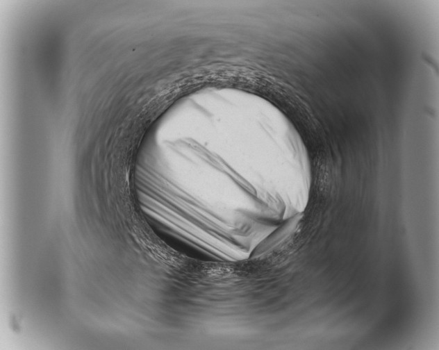 X0000100881489200807071113