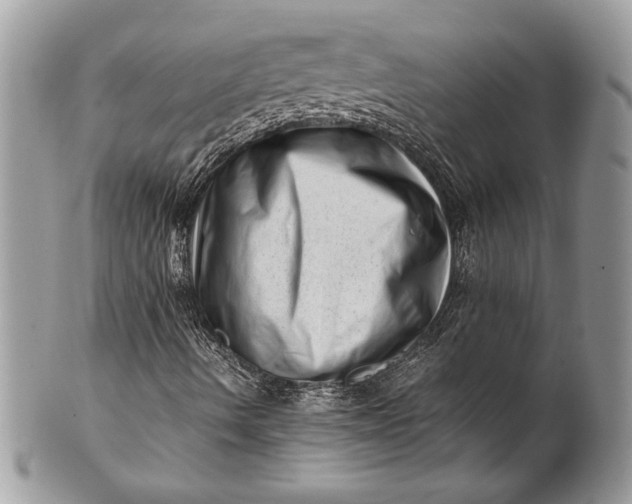 X0000100881490200807071113