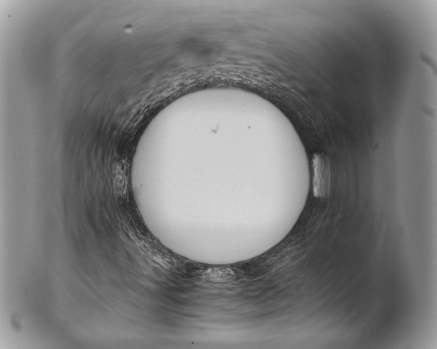 X0000100881491200807071113