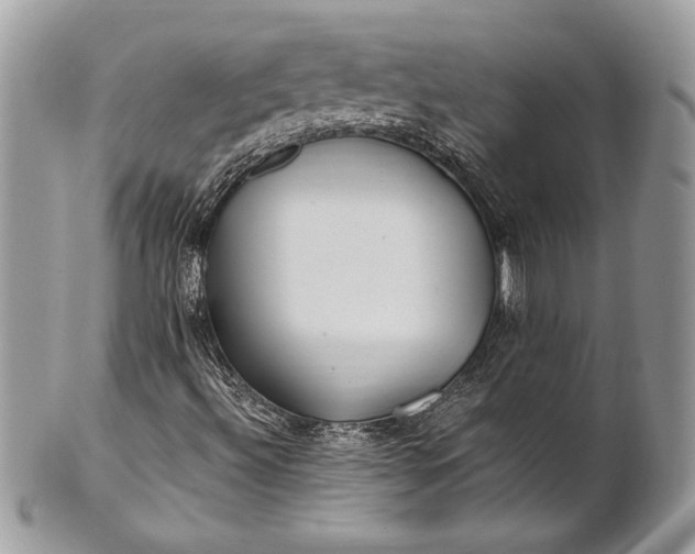 X0000100881492200807071113