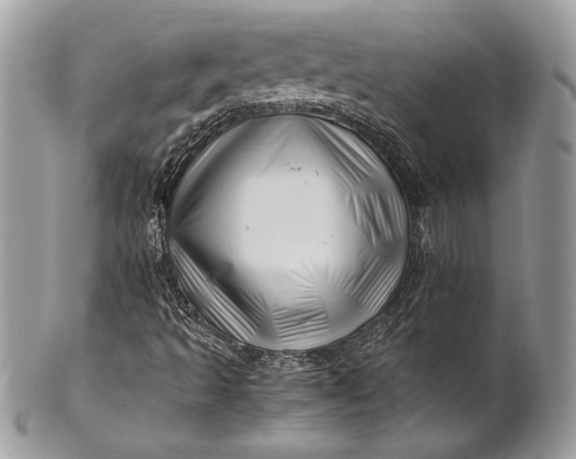 X0000100881493200807071113