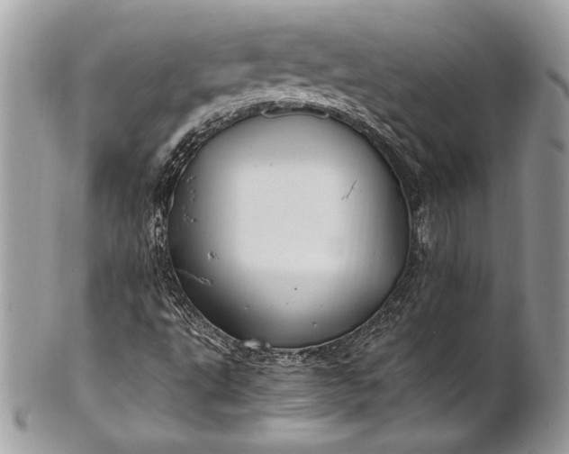 X0000100881495200807071113