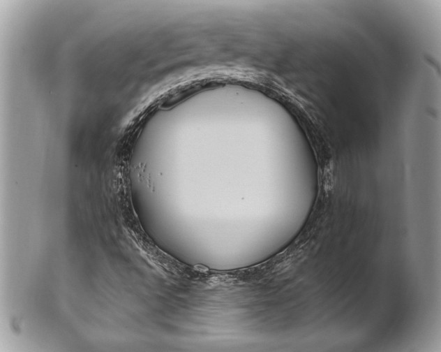 X0000100881496200807071113