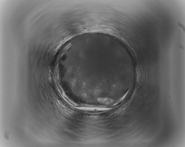 X0000100881497200807071113