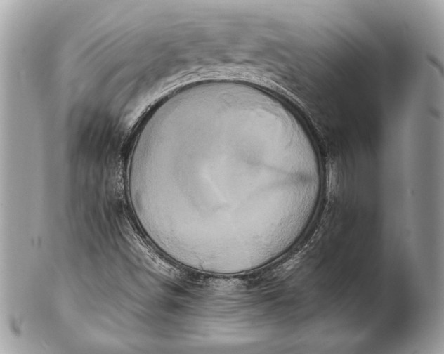 X0000100881498200807071113