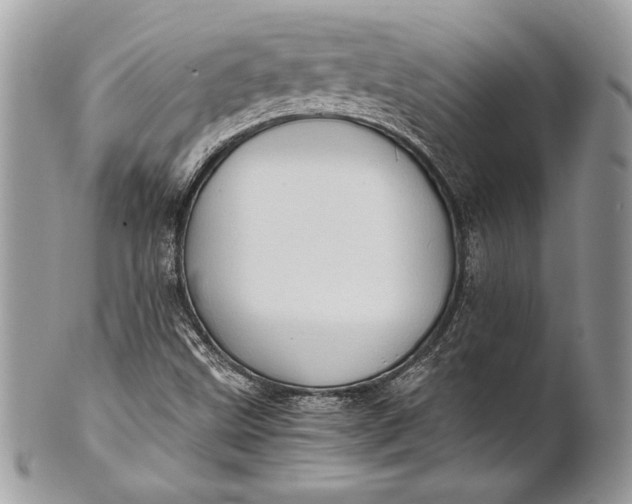 X0000100881499200807071113