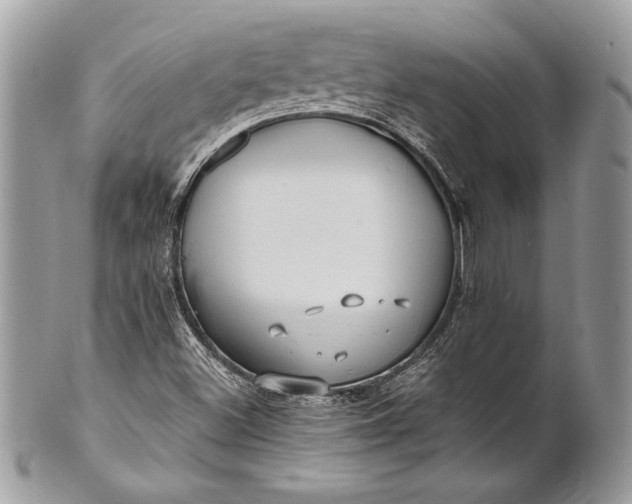 X0000100881500200807071114