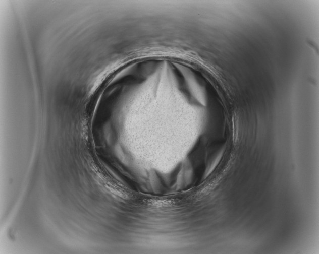 X0000100881501200807071114