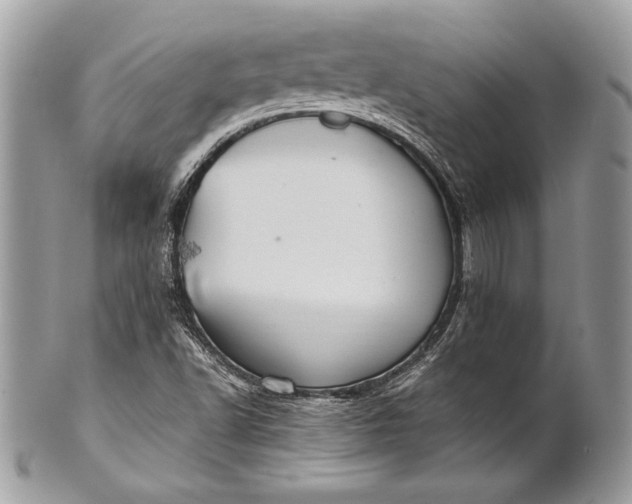 X0000100881502200807071114