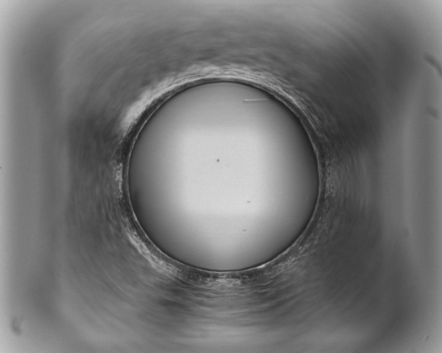 X0000100881503200807071114