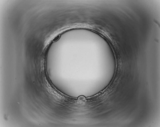 X0000100881504200807071114