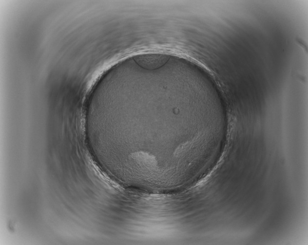 X0000100881506200807071114