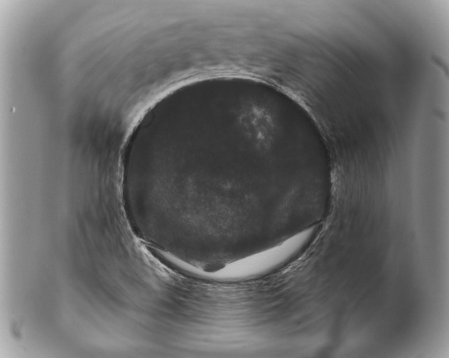 X0000100881508200807071114