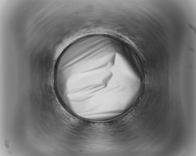 X0000100881512200807071114