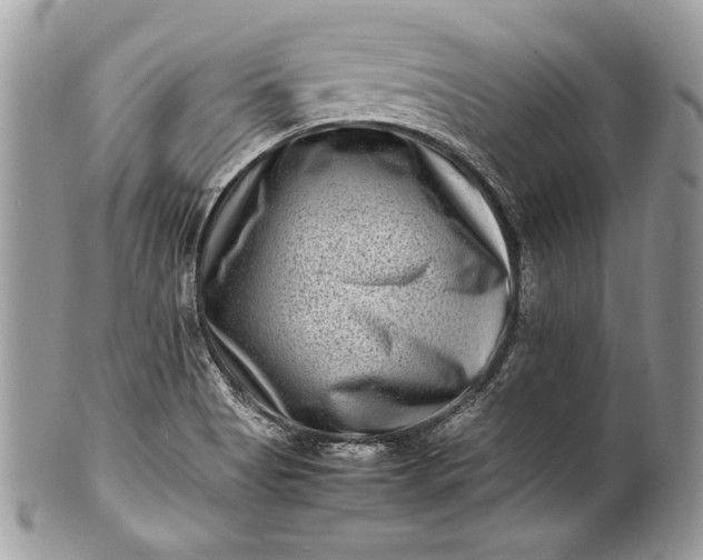 X0000100881513200807071114