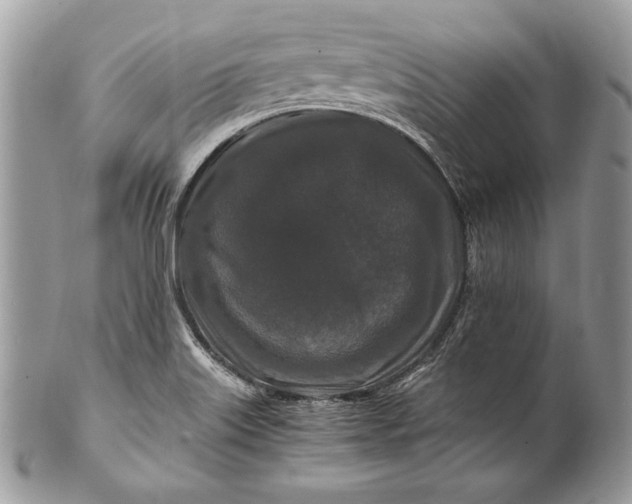 X0000100881515200807071114