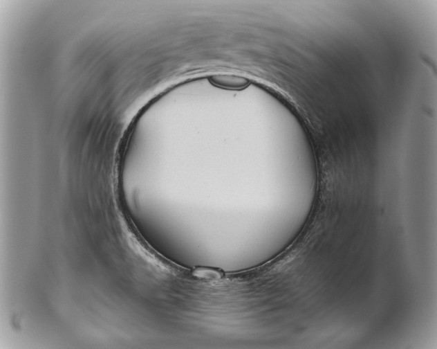 X0000100881518200807071114