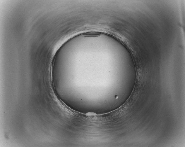 X0000100881520200807071114