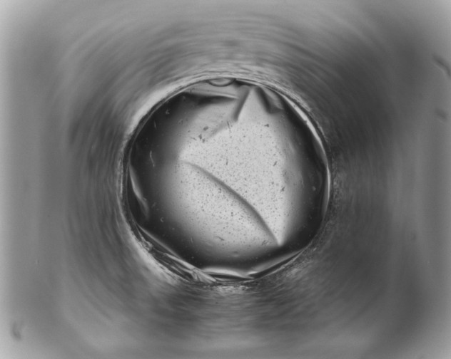 X0000100881523200807071114