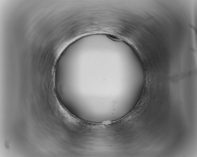 X0000100881524200807071114