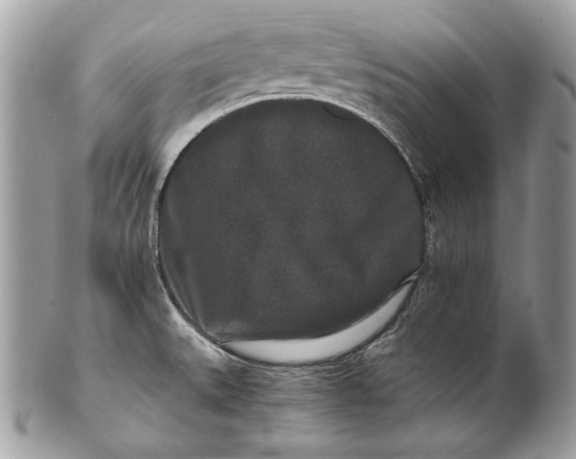 X0000100881527200807071114