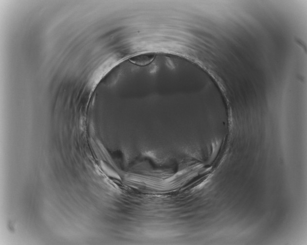 X0000100881529200807071114