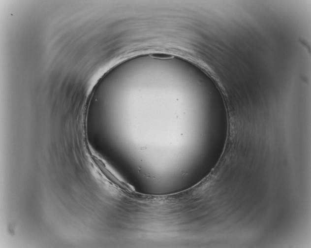 X0000100881530200807071114