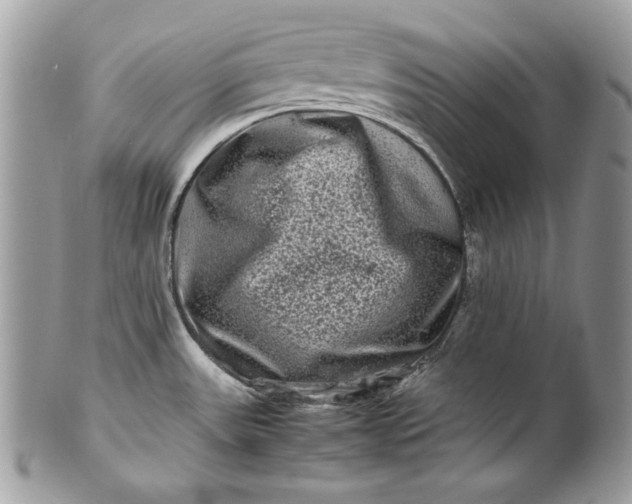 X0000100881531200807071114