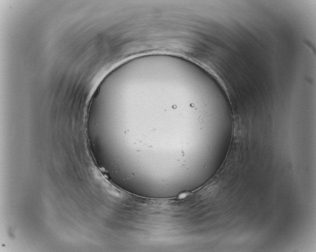 X0000100881532200807071114