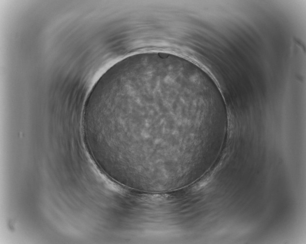 X0000100881533200807071114