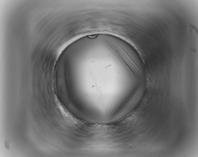 X0000100881534200807071114