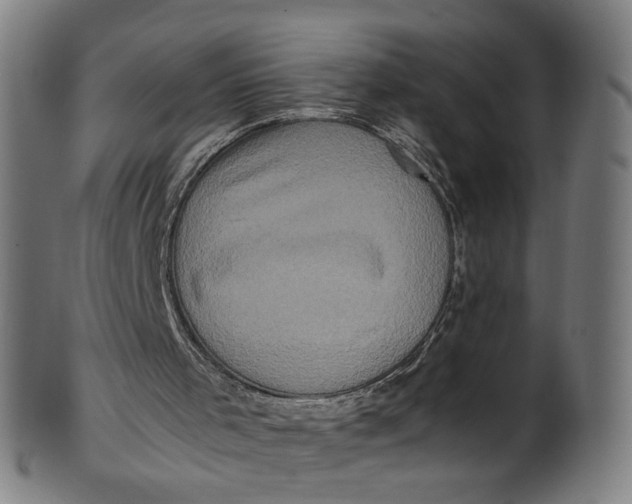 X0000100880001200807111354