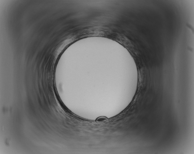 X0000100880003200807111354