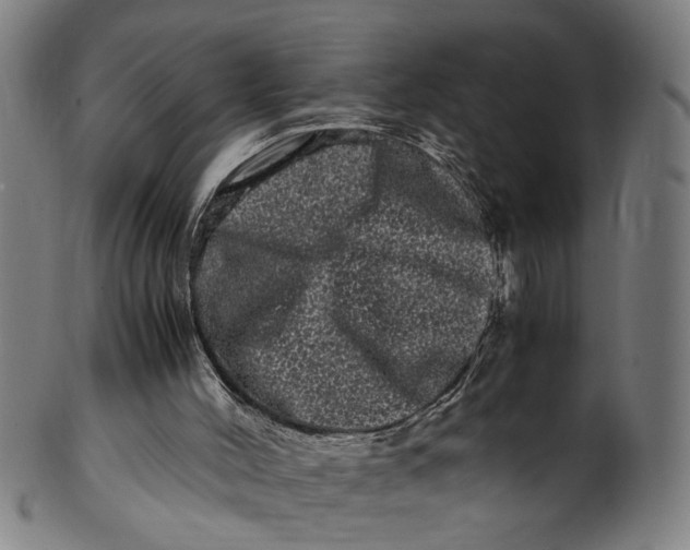 X0000100880004200807111354