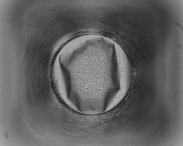 X0000100880006200807111354